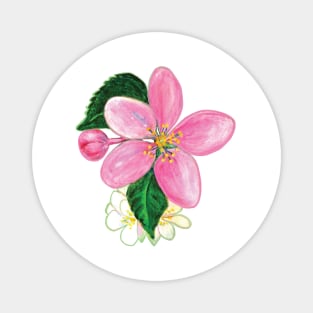 Pink Nectarine Blossom Illustration Magnet